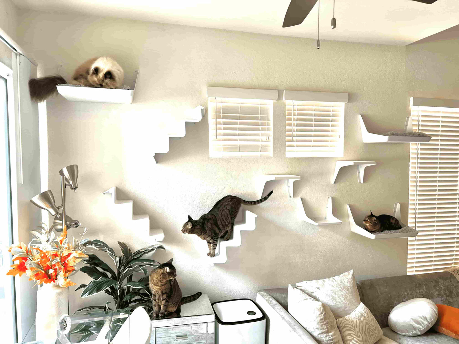 Kitty Skyline sells cat shelves (cat lounges, steps and stairs) that offer unlimited placement for unlimited design.